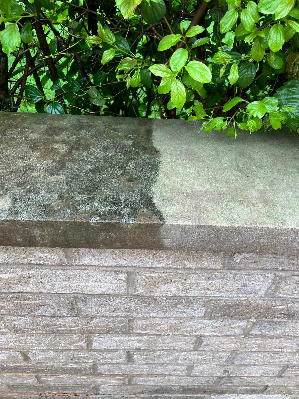 Concrete steps and walkway before professional cleaning