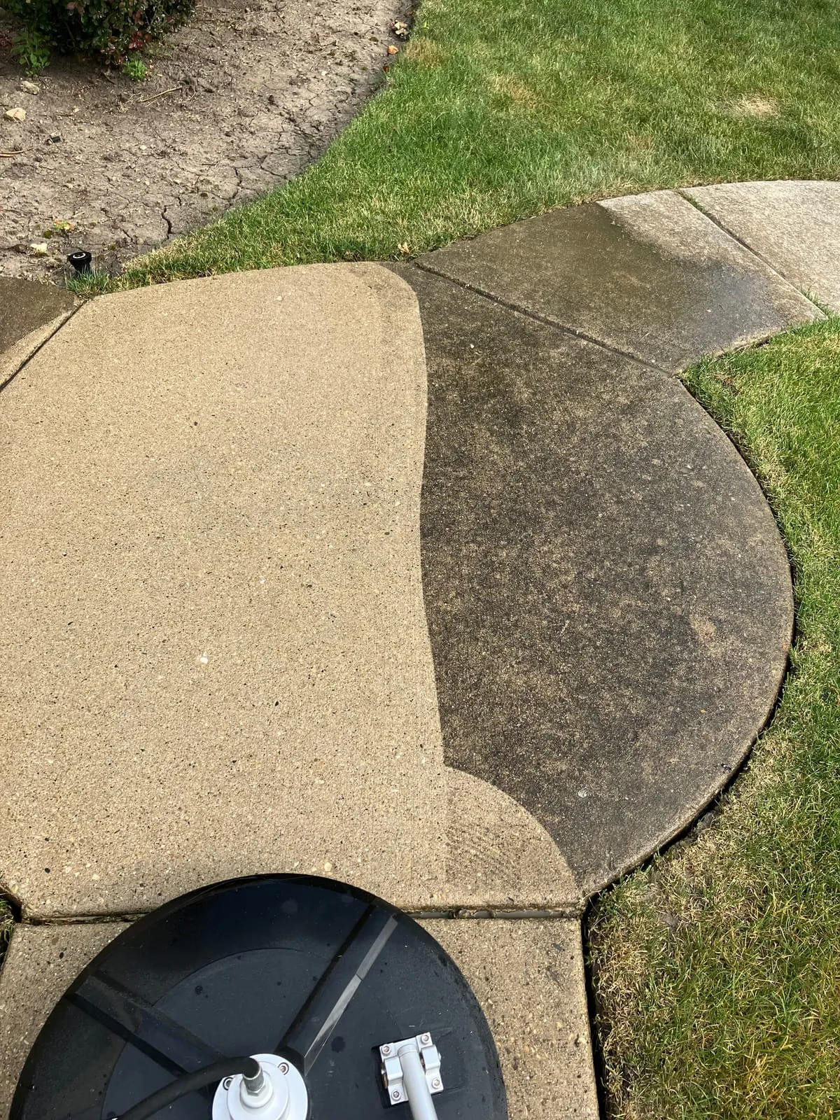Concrete surface with moss growth before professional cleaning