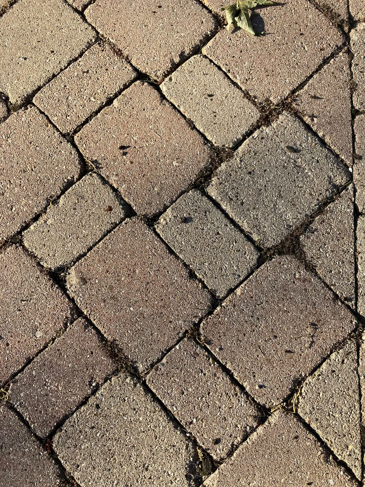 Paver walkway before cleaning — stained with dark buildup