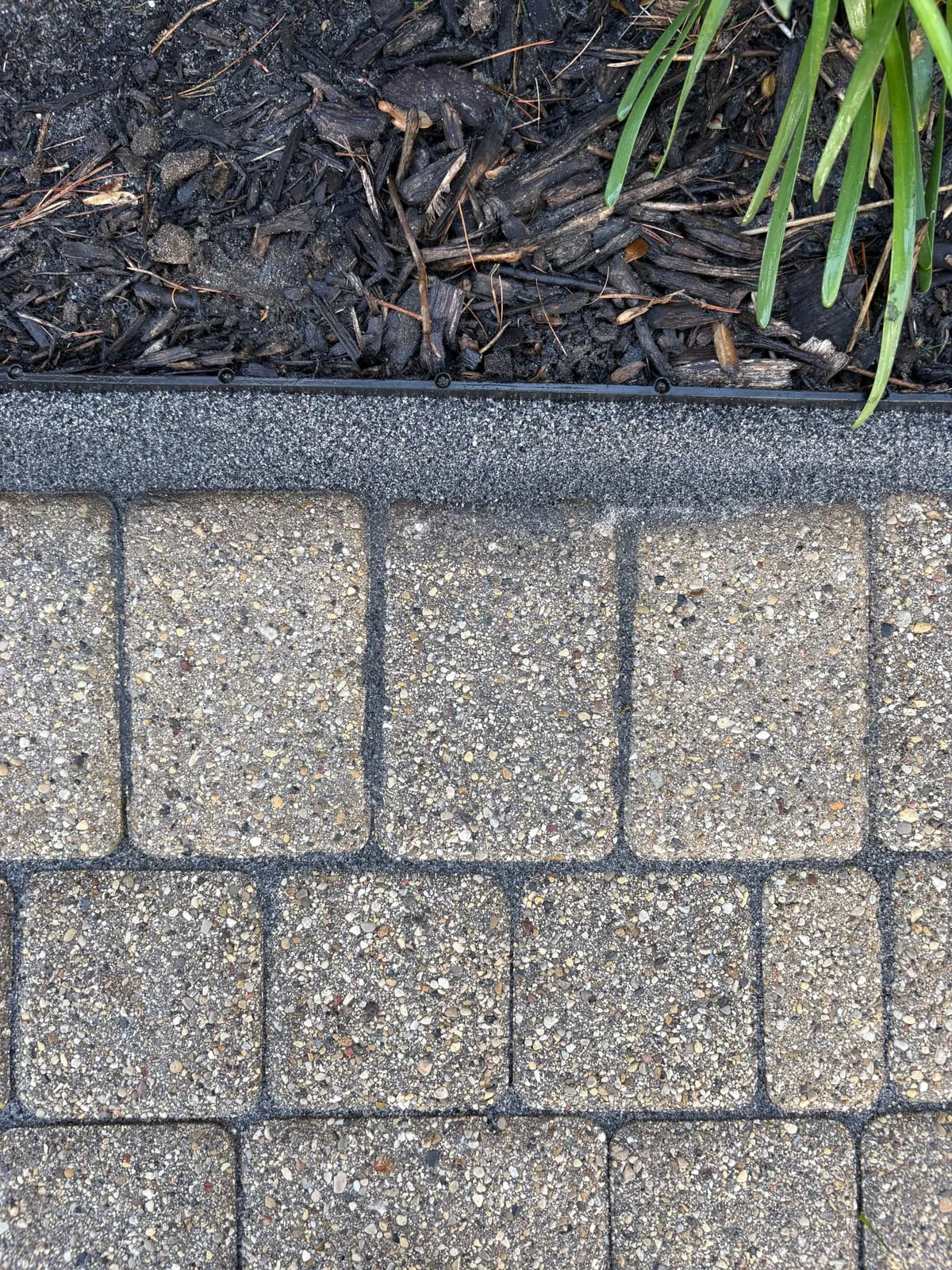 Brick masonry wall after cleaning — algae removed, clean surface