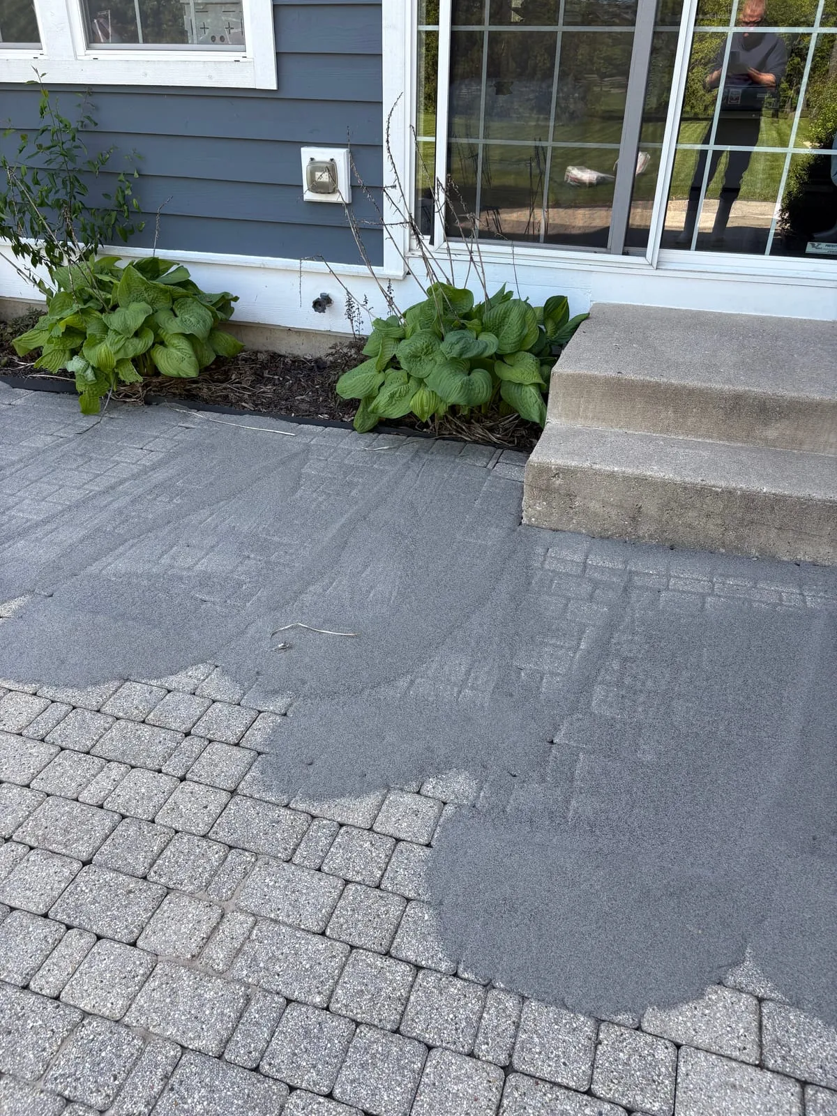 Brick masonry wall before cleaning — heavy algae and moss growth