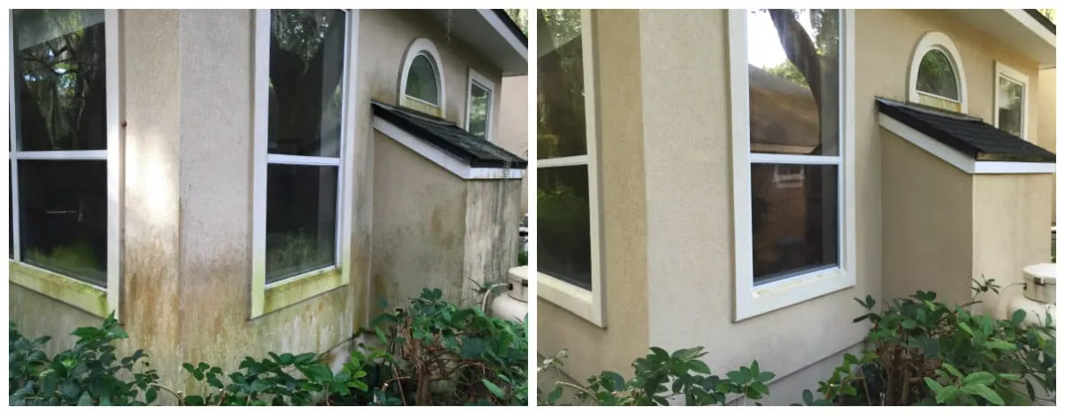 Before and after house washing results showing window and siding cleaning