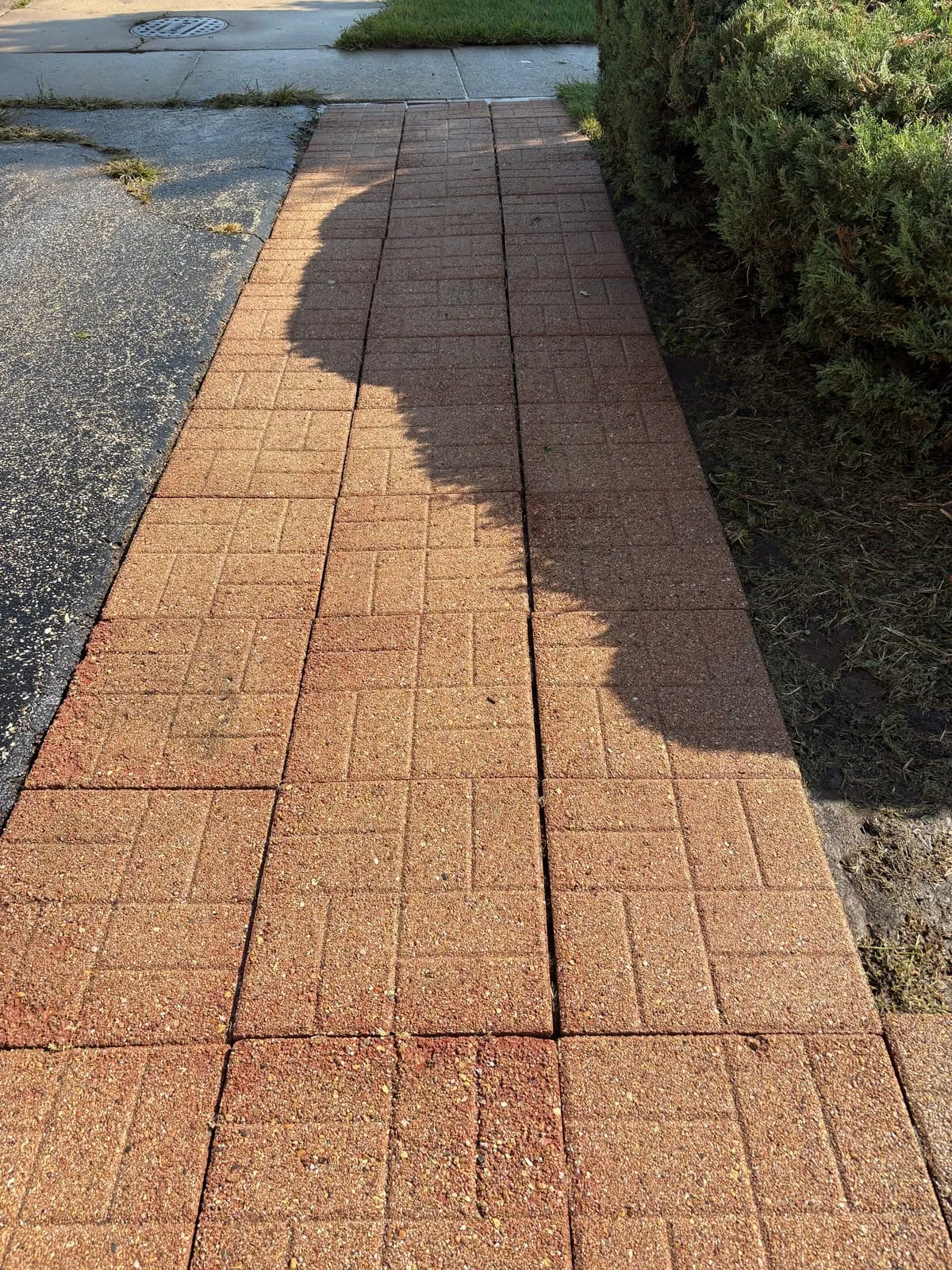 Before and after retaining wall cleaning showing moss and algae removal