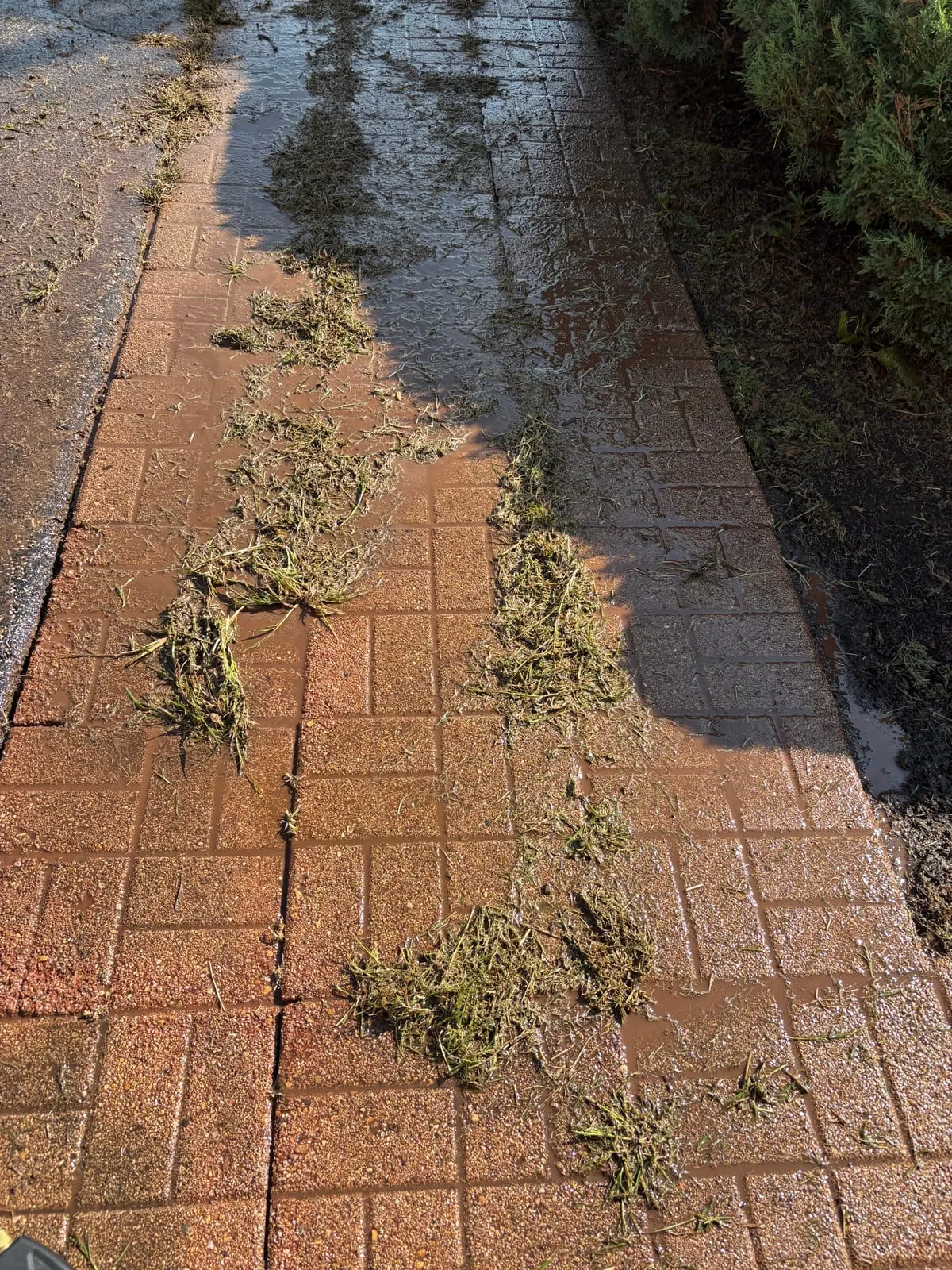 Brick retaining wall after professional cleaning in Mundelein, IL