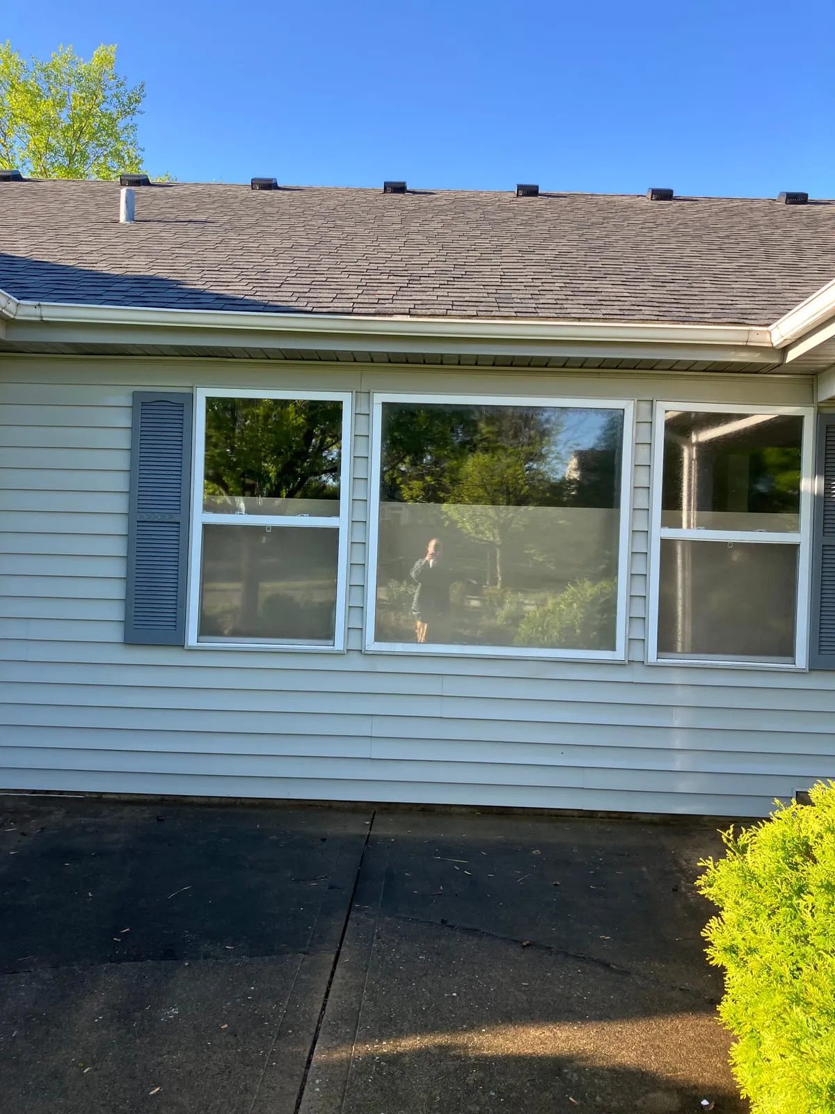 Before and after stucco cleaning showing algae removal